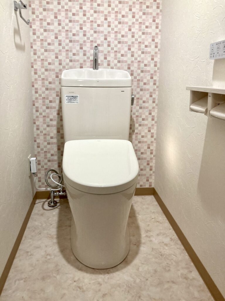 toilet_after