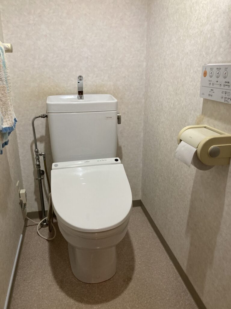 toilet_before