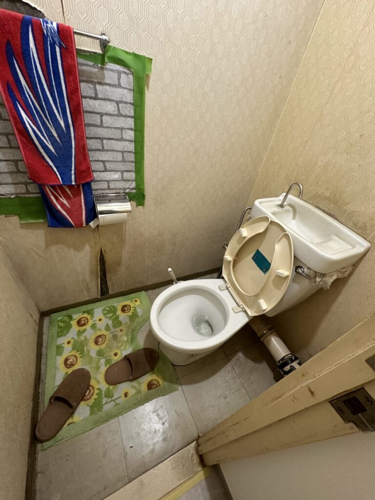 toilet_before